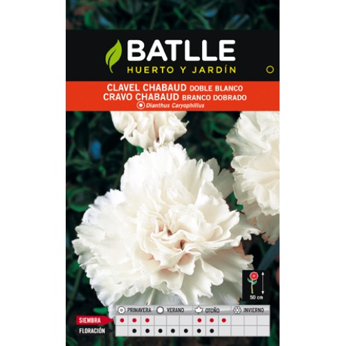 Chabaud White Carnation Seed