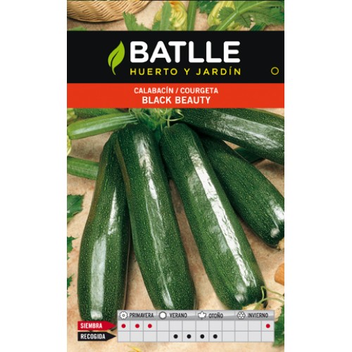 Black Beauty Zucchini Seeds Pack