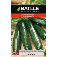 Black Beauty Zucchini Seeds Pack