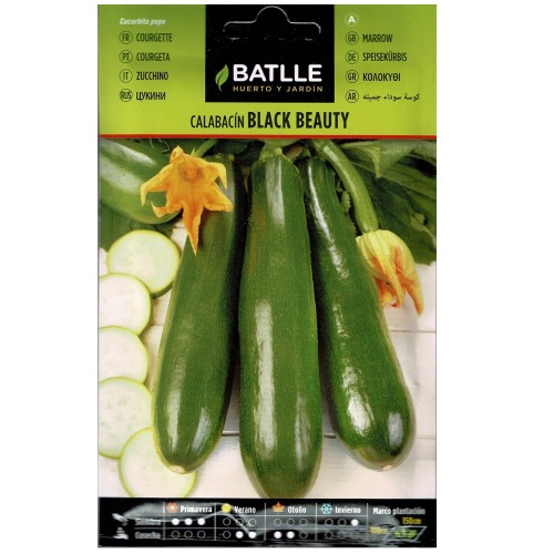 Calabacin Black Beauty Sobre