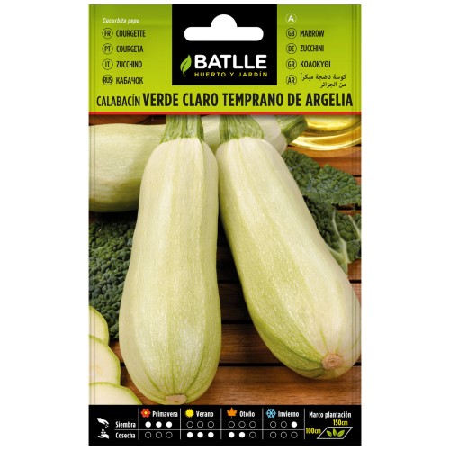 Semillas de Calabacín Temprano Argelia