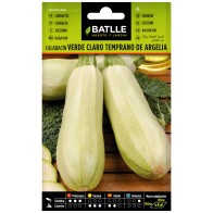 Semillas de Calabacín Temprano Argelia