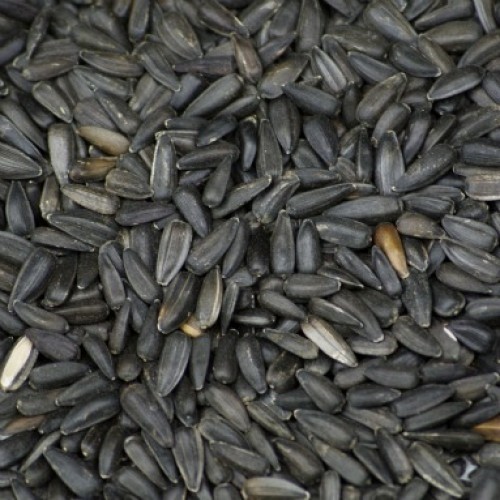 Pipas Negras 2,5 Kg. Prodac
