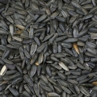 Pipas Negras 2,5 Kg. Prodac