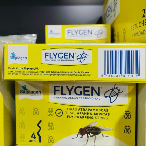 Flygen Fly Traps Box 4 Units