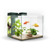 Zeneo 30 Aquarium Obsession Design