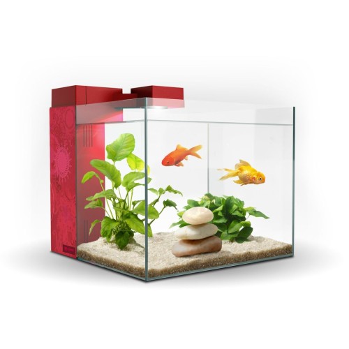 Zeneo 30 Jungle Aquarium