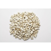 Semilla Alazor Prodac 3.5 Kg