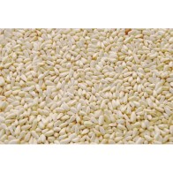 Semilla Alazor Prodac 3.5 Kg