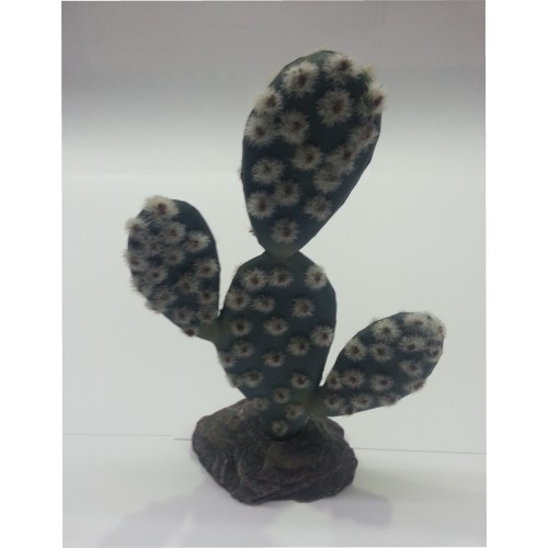 Sahara Cactus 19 cm