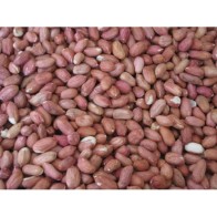 Shelled Peanuts 4 Kg Prodac