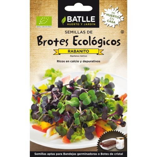 Brotes Ecológicos Rabanito Sango - Cultivados en Casa y Nutrientes Ricos