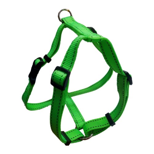 Arnes Neon Verde 20x500mm.