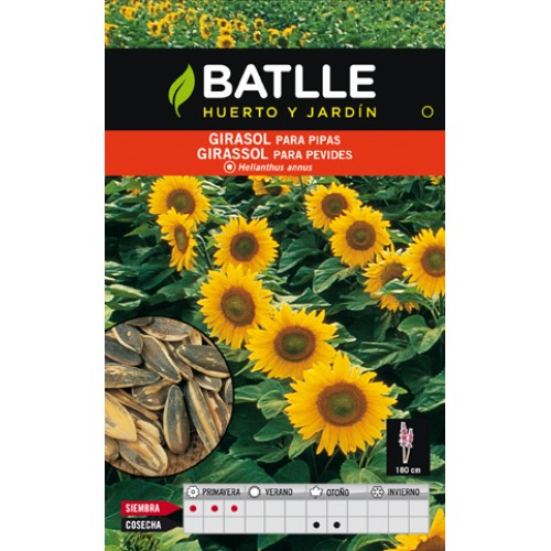 Sunflower Seeds for Snacking - Premium Quality