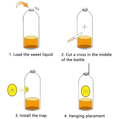 Eco Wasps Trap Pack of 4