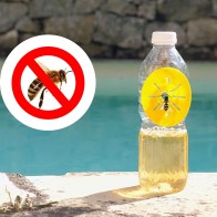 Eco Wasps Trap Pack of 4