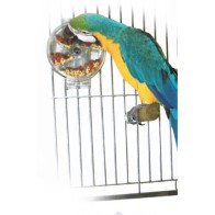 Sun Parrots Interactive Wheel Toy