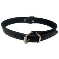 Collar Cuero Liso 20x500mm - Accesorio Elegante para Perros