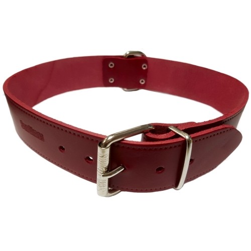 Collar Cuero Liso 20x500mm - Accesorio Elegante para Perros