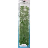 Planta Acuática Ambulia Plus para Acuarios