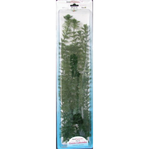 Planta Cabomba Plus 28-33cm para Acuarios