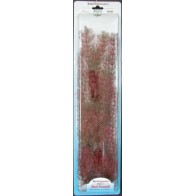 Planta Foxtail (28-33cm)