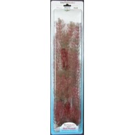 Planta Foxtail Plus (46cm)