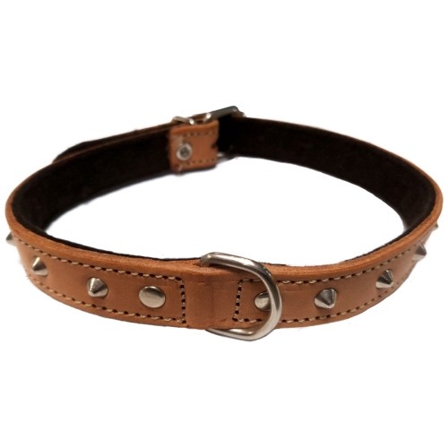 Collar Decorativo Natural para Mascotas