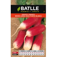 Medium Long Red Radish W/White Tip