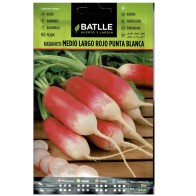 Medium Long Red Radish W/White Tip