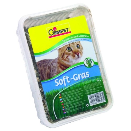 Hierba Gato Vitaminada Gimpet 100g