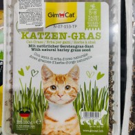 Gimpet Vitaminized Cat Grass 100g