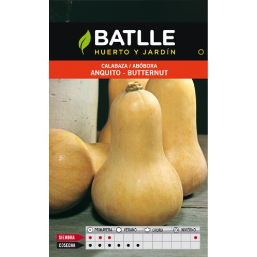 Sobre de Semillas de Calabaza Anquito-butternut para Cultivo