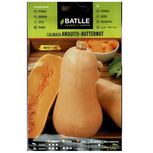 Sobre de Semillas de Calabaza Anquito-butternut para Cultivo