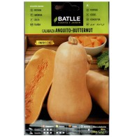 Sobre de Semillas de Calabaza Anquito-butternut para Cultivo