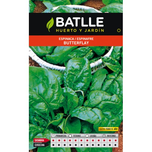 Butterfly Spinach Seeds for Year-Round Growth