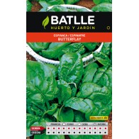 Butterfly Spinach Seeds for Year-Round Growth