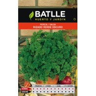 Dark Green Curly Parsley for Culinary Use