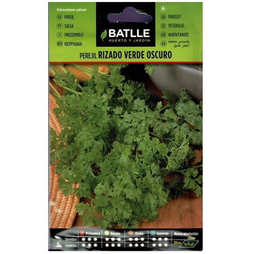 Perejil Rizado Verde Oscuro para Uso Culinario
