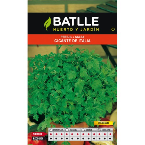 Giant Italian Parsley Seed Packet