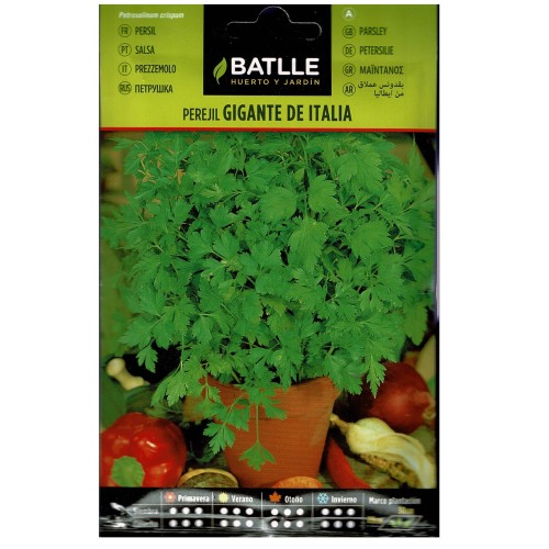 Sobre de Semillas de Perejil Gigante Italia