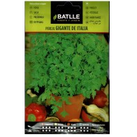 Sobre de Semillas de Perejil Gigante Italia