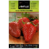 Four Seasons Strawberries Seeds