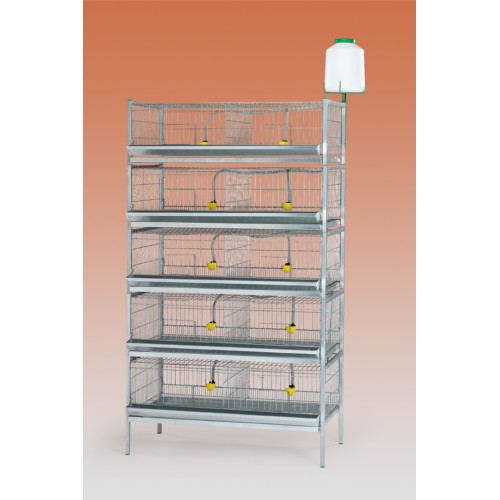 2-Compartment Exhibition Battery for Chicks and Quails