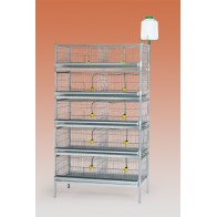 2-Compartment Exhibition Battery for Chicks and Quails