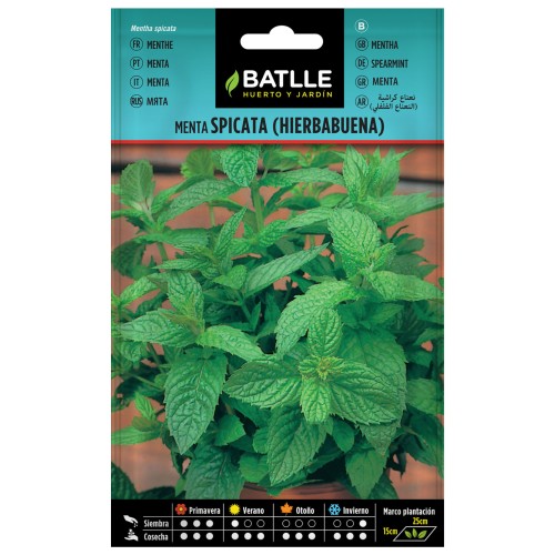 Spearmint Herb Seeds