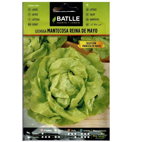R. Mayo-Princess Lettuce Seeds