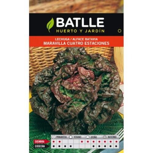 Paquete de Semillas de Lechuga 4 Estaciones