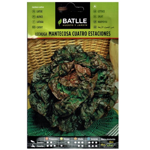 Paquete de Semillas de Lechuga 4 Estaciones