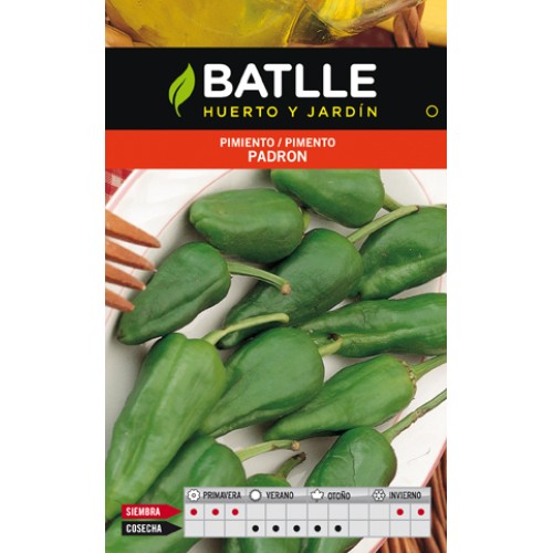 Padrón Pepper Seeds